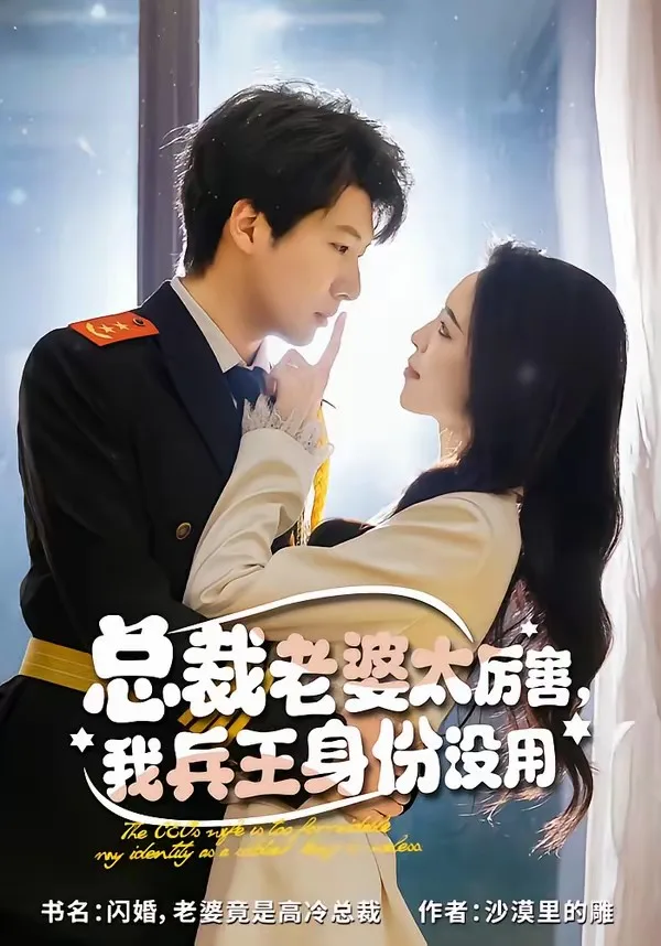 总裁老婆太厉害,我兵王身份没用