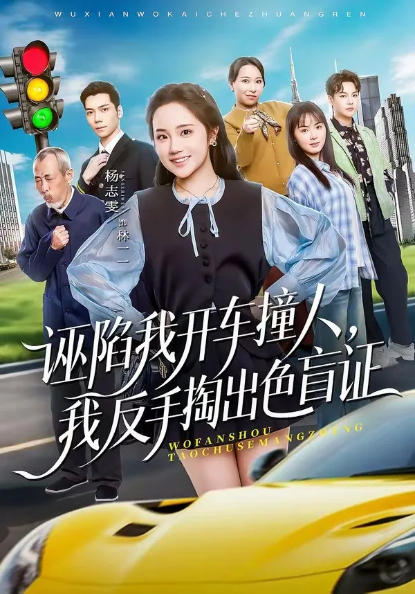 诬陷我开车撞人，我反手掏出色盲证