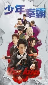 少年拳霸