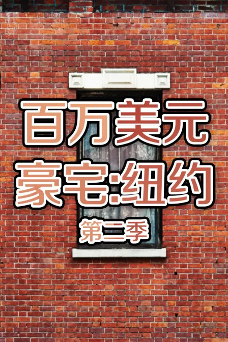 百万美元豪宅：纽约第二季