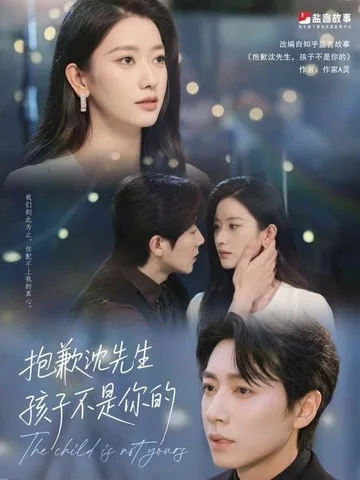 沈先生我们复合好不好