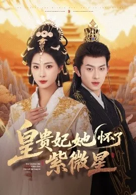 皇贵妃她怀了紫薇星