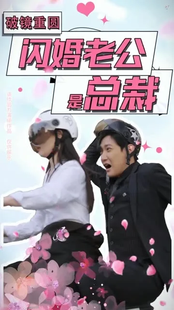 破镜重圆:闪婚老公是总裁